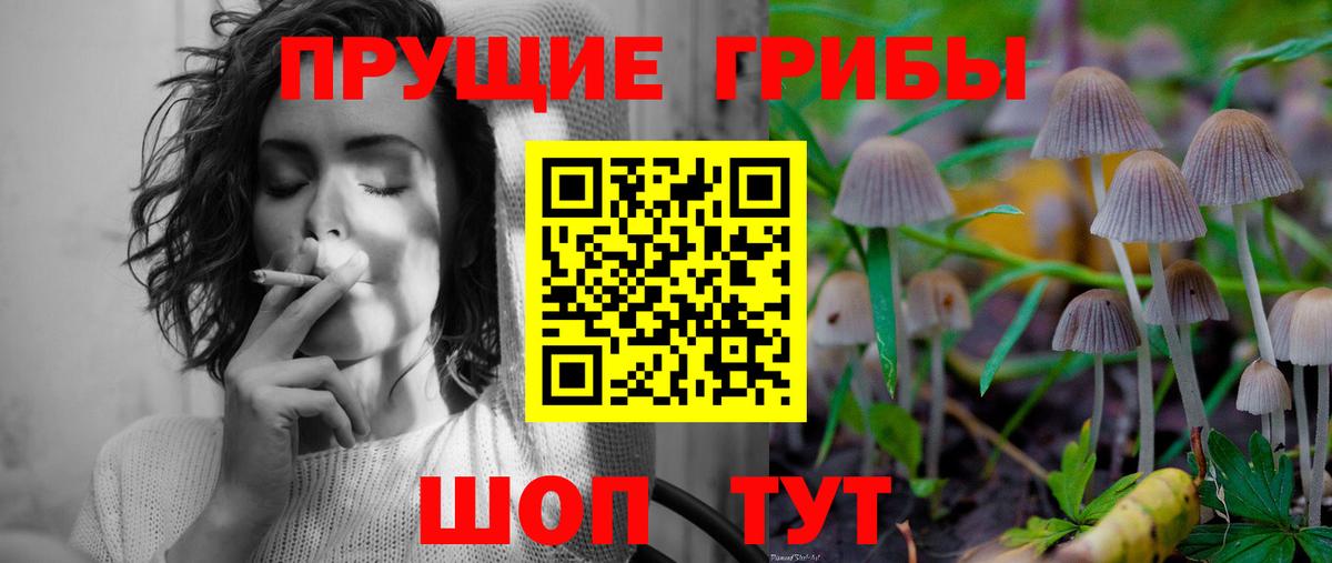 Псилоцибиновые грибы Psilocybe  Вход с VPN  Тельмана 